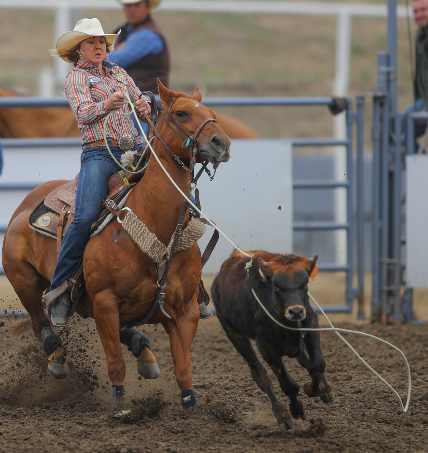 060219 Elks Rodeo Sunday 21.jpg